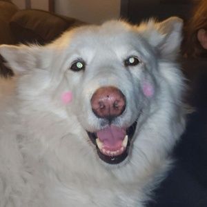 Meet your Posher, Madalyn